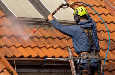 Démoussage et hydrofuge de toiture à Lahage
